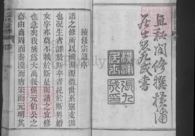 安徽合肥庐江县夏氏宗谱-中华家谱网