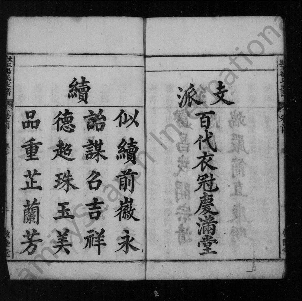 图片[4]-安徽安庆潜山县王杨氏支谱电子版PDF下载-中华家谱网