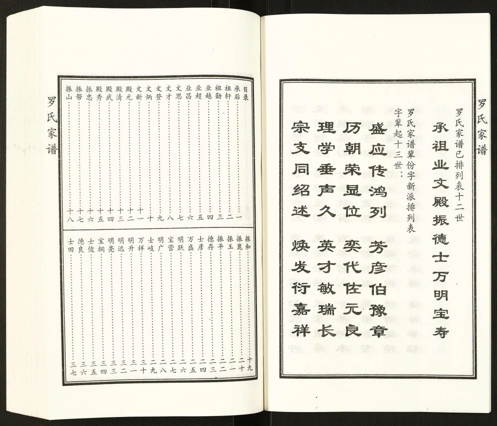 图片[4]-河北泊头罗氏民俯公家族谱（太和堂）电子版PDF下载-中华家谱网