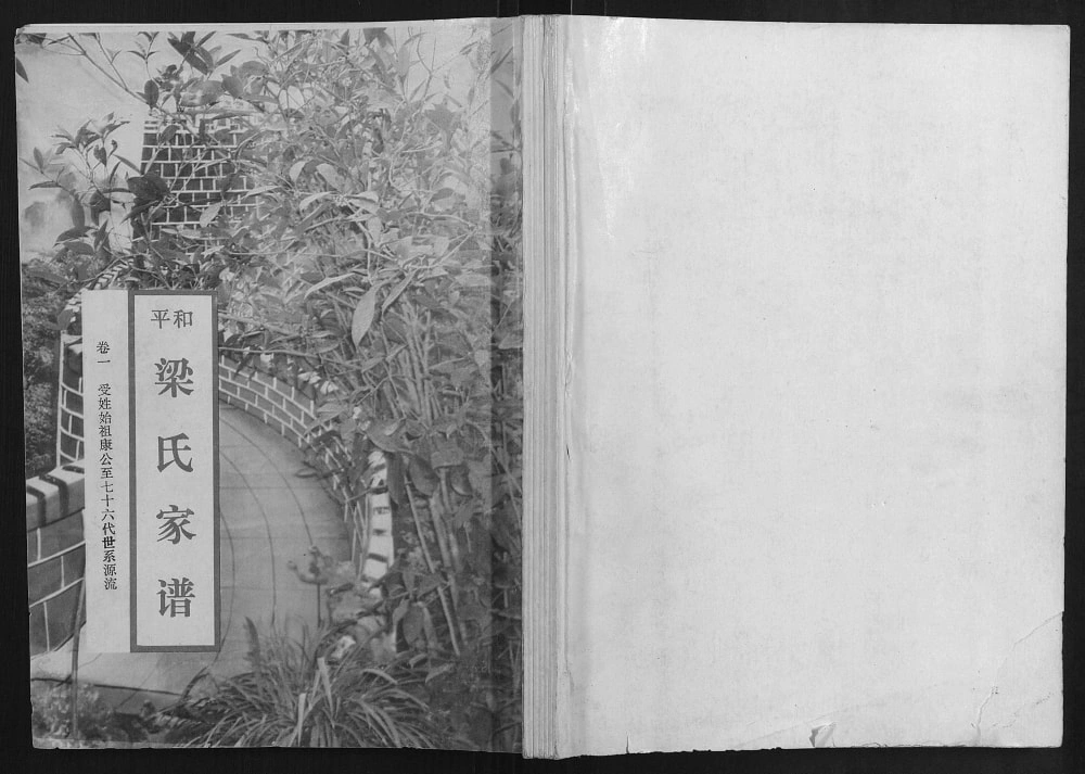 图片[1]-广东河源和平县梁氏家谱电子版PDF下载-中华家谱网