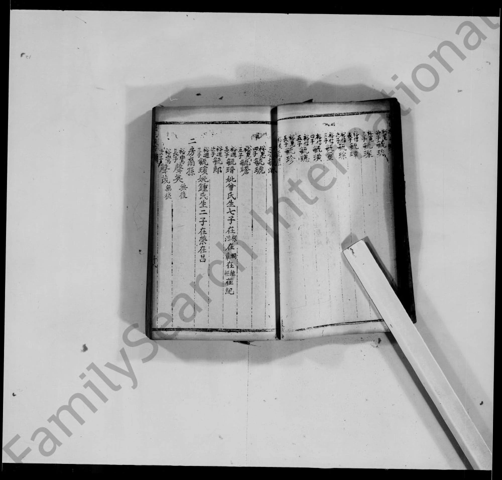 图片[5]-重庆荣昌罗氏族谱电子版PDF下载-中华家谱网