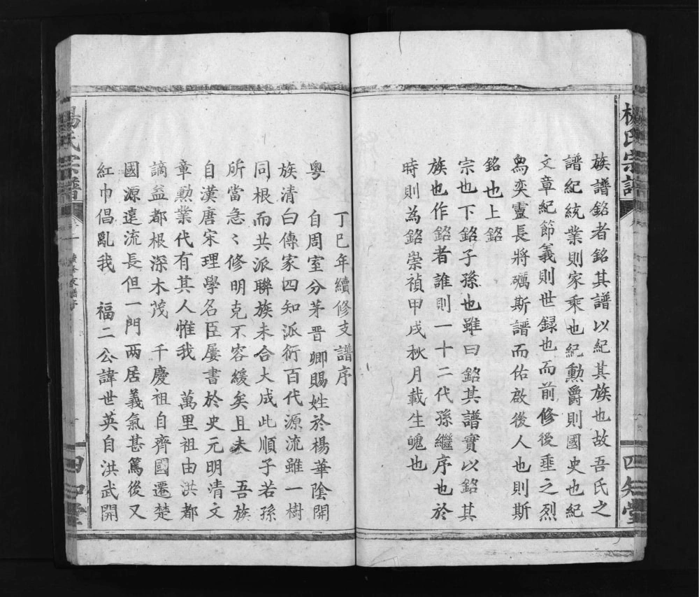 图片[3]-湖北黄石阳新杨氏宗谱电子版PDF下载-中华家谱网