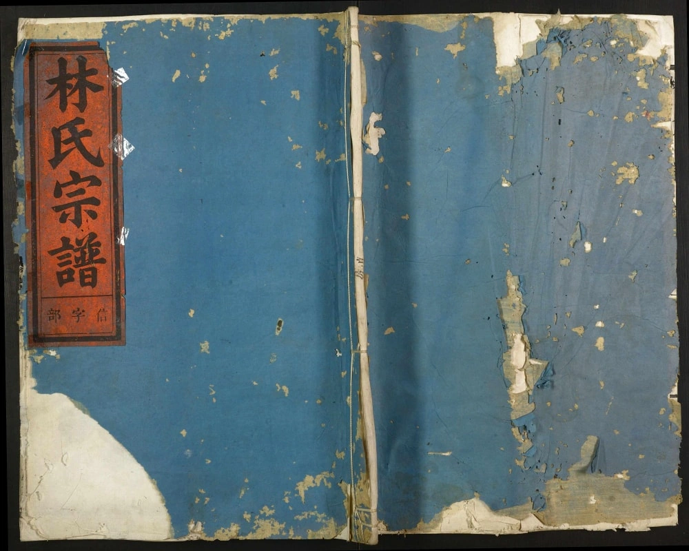 图片[1]-浙江金华婺城区林氏宗谱电子版PDF下载-中华家谱网