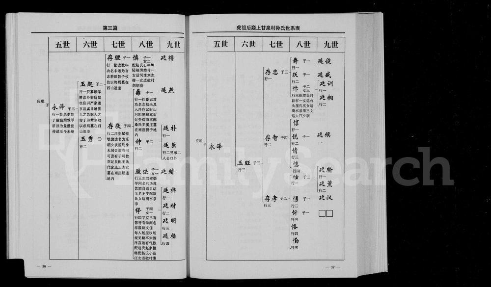 图片[6]-山东淄博淄川孙氏族谱电子版PDF下载-中华家谱网