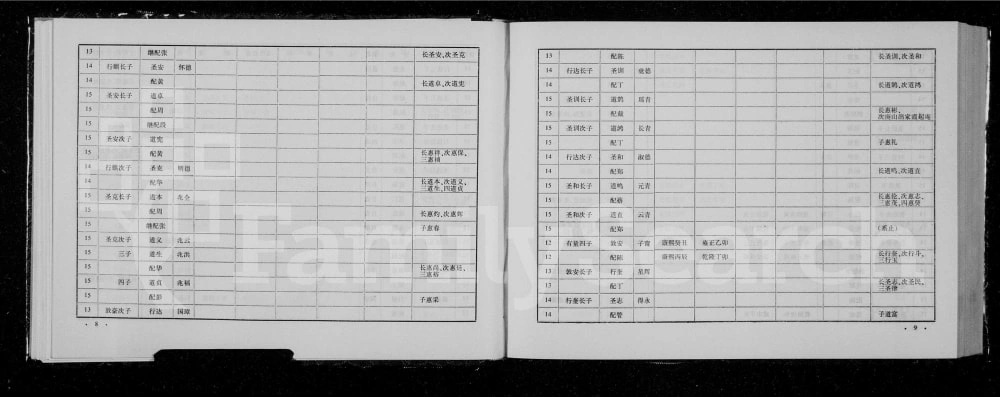 图片[8]-湖北孝感鄂澴青石桥胡氏宗谱（崇爱堂）电子版PDF下载-中华家谱网