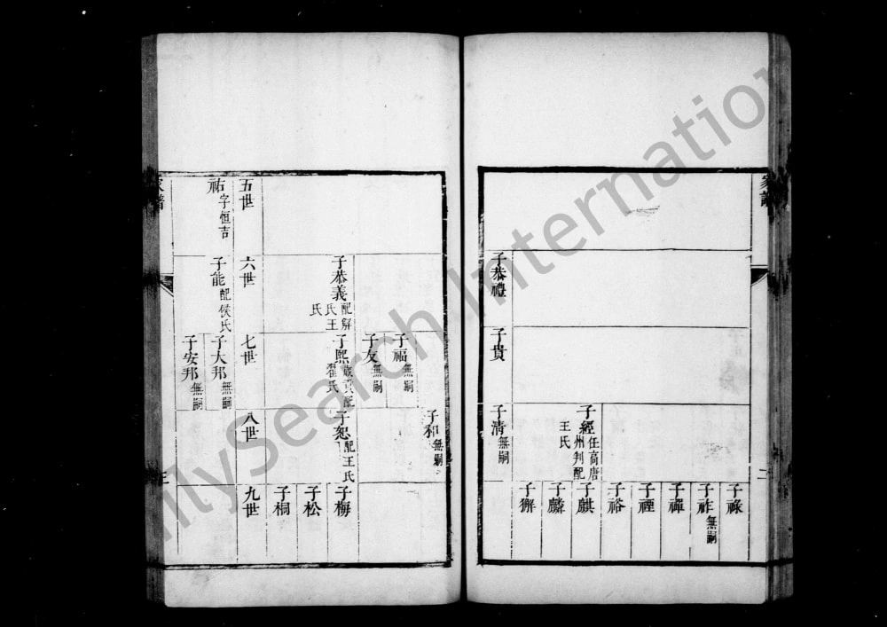 图片[5]-河北衡水冀州区陈氏家乘电子版PDF下载-中华家谱网