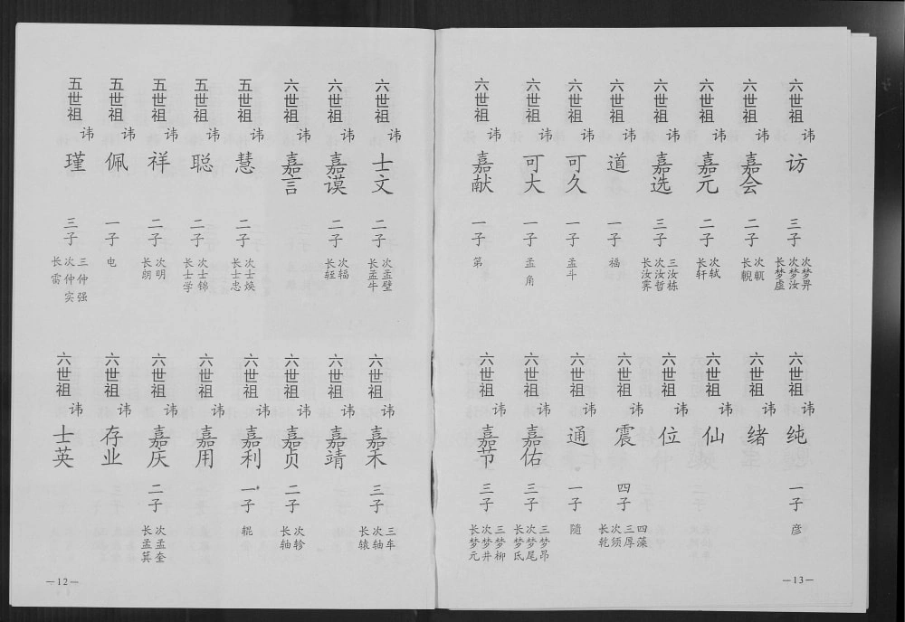 图片[7]-河北衡水故城县高行杖高氏家族总谱电子版PDF下载-中华家谱网