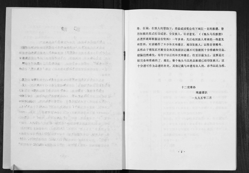 图片[3]-广西桂林池头马氏两江分支族谱电子版PDF下载-中华家谱网