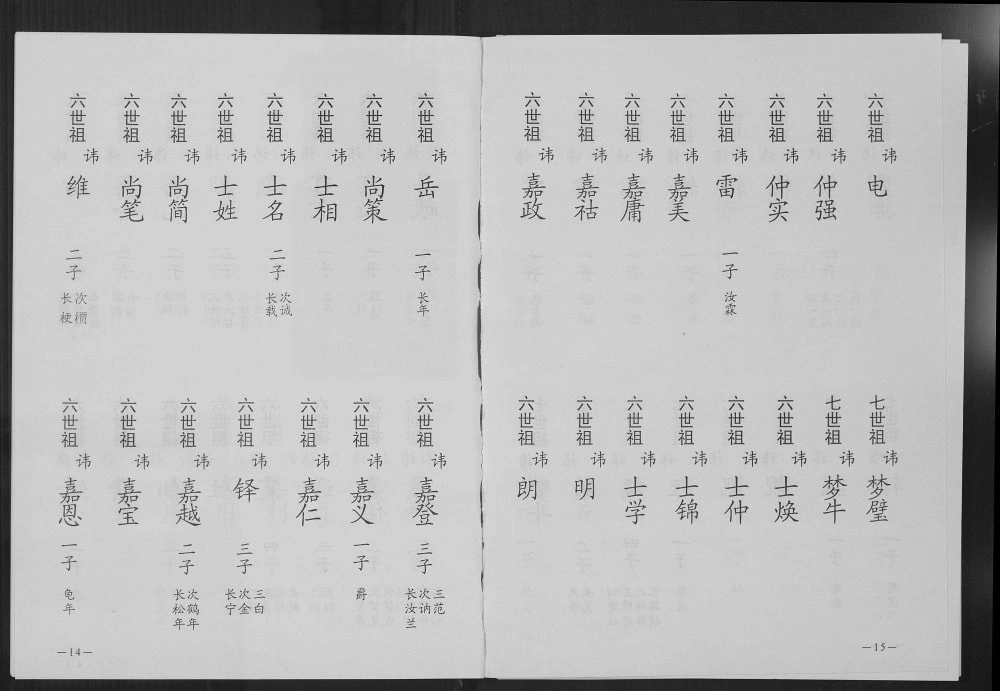 图片[8]-河北衡水故城县高行杖高氏家族总谱电子版PDF下载-中华家谱网