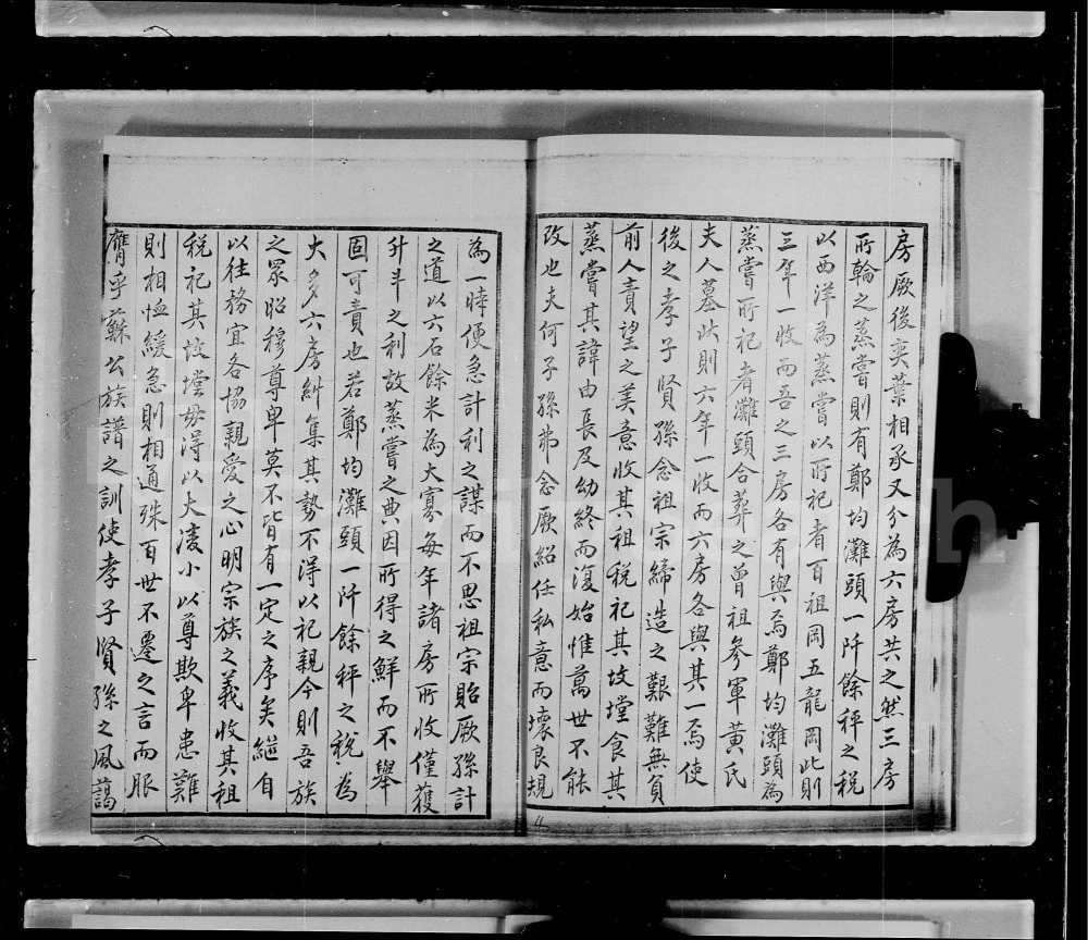 图片[4]-广东深圳宝安杨氏族谱电子版PDF下载-中华家谱网