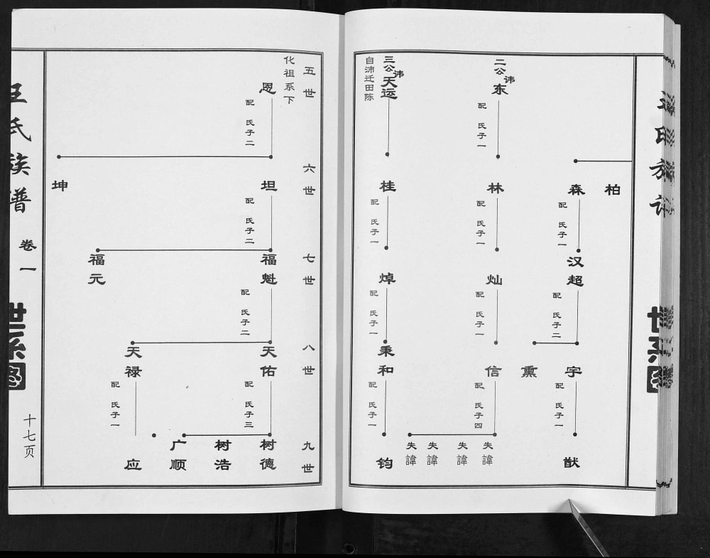图片[8]-山东济宁微山县王氏族谱电子版PDF下载-中华家谱网