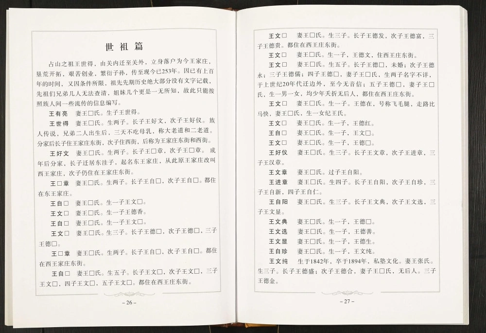 图片[6]-辽宁盘锦大洼区王氏族谱电子版PDF下载-中华家谱网