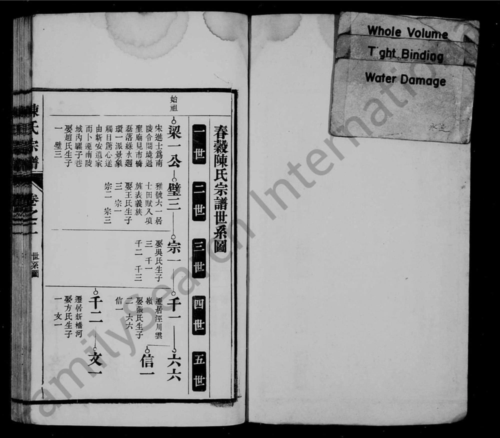 图片[6]-安徽芜湖南陵春谷陈氏宗谱电子版PDF下载-中华家谱网