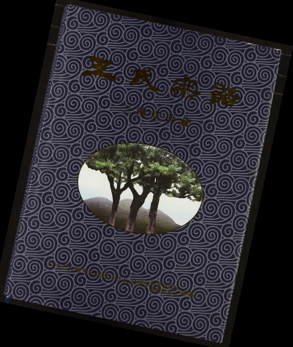 图片[1]-湖北广水王氏宗谱（三槐堂）电子版PDF下载-中华家谱网