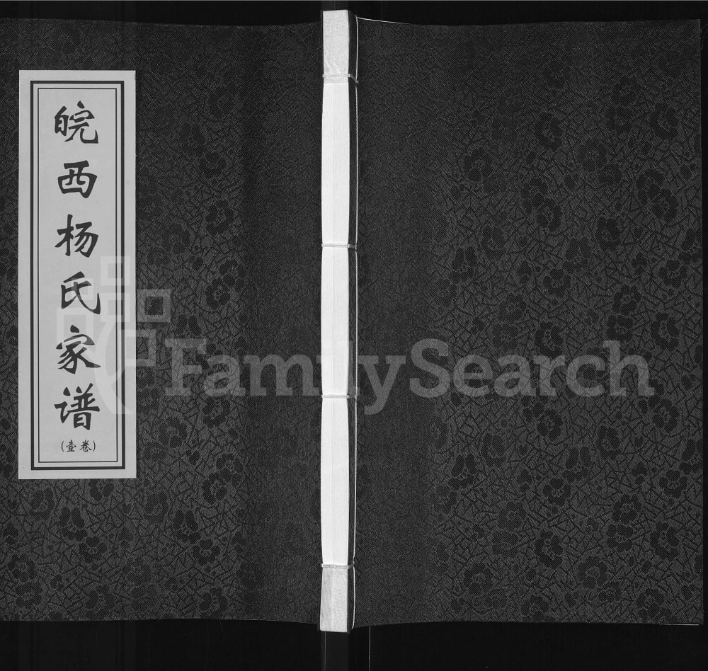 图片[1]-安徽六安霍邱县皖西杨氏家谱（四知堂）电子版PDF下载-中华家谱网