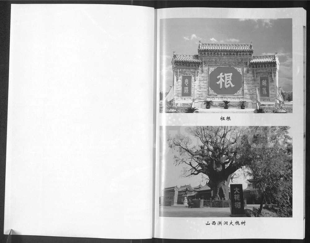 图片[2]-宁夏灵武杨氏宗谱入宁中寨子始祖杨国强宗支电子版PDF下载-中华家谱网