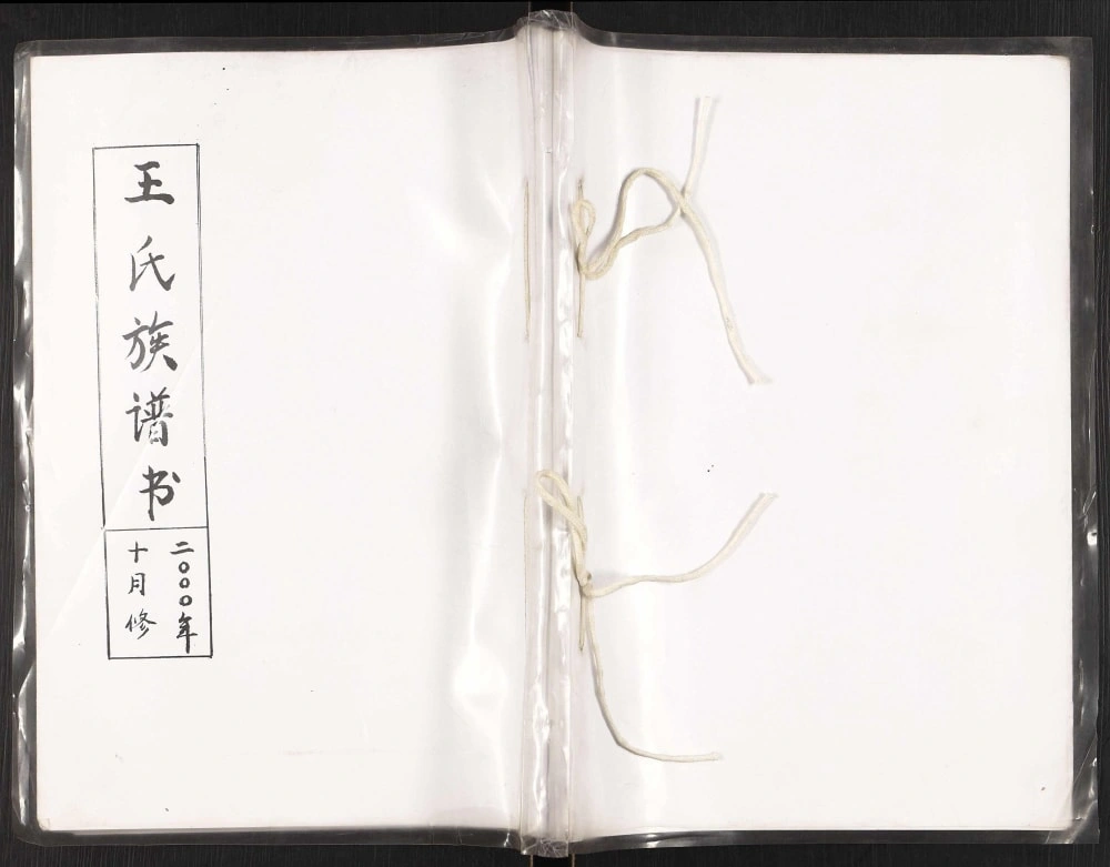 图片[1]-辽宁瓦房店王氏族谱书电子版PDF下载-中华家谱网