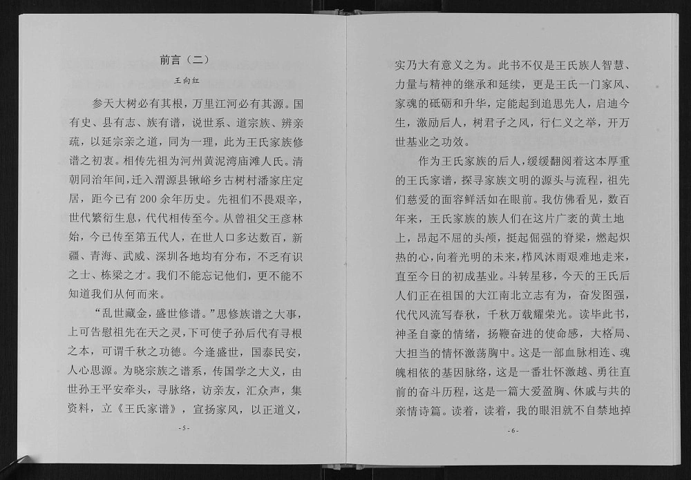 图片[6]-甘肃定西渭源潘家庄王氏家谱电子版PDF下载-中华家谱网