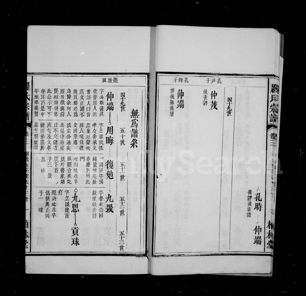 图片[5]-安徽无为罗氏四修宗谱（柏林堂）电子版PDF下载-中华家谱网