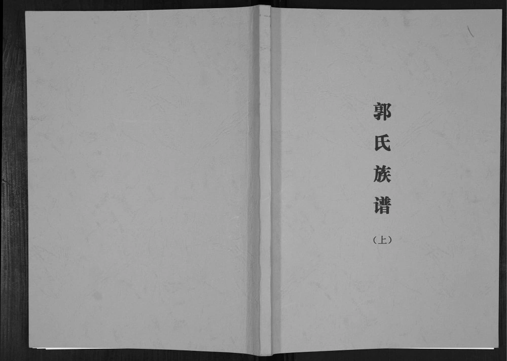 图片[1]-广西河池郭廷汪后裔族谱电子版PDF下载-中华家谱网