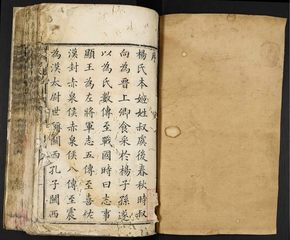 图片[1]-江西赣州宁都城南杨氏麟房族谱电子版PDF下载-中华家谱网