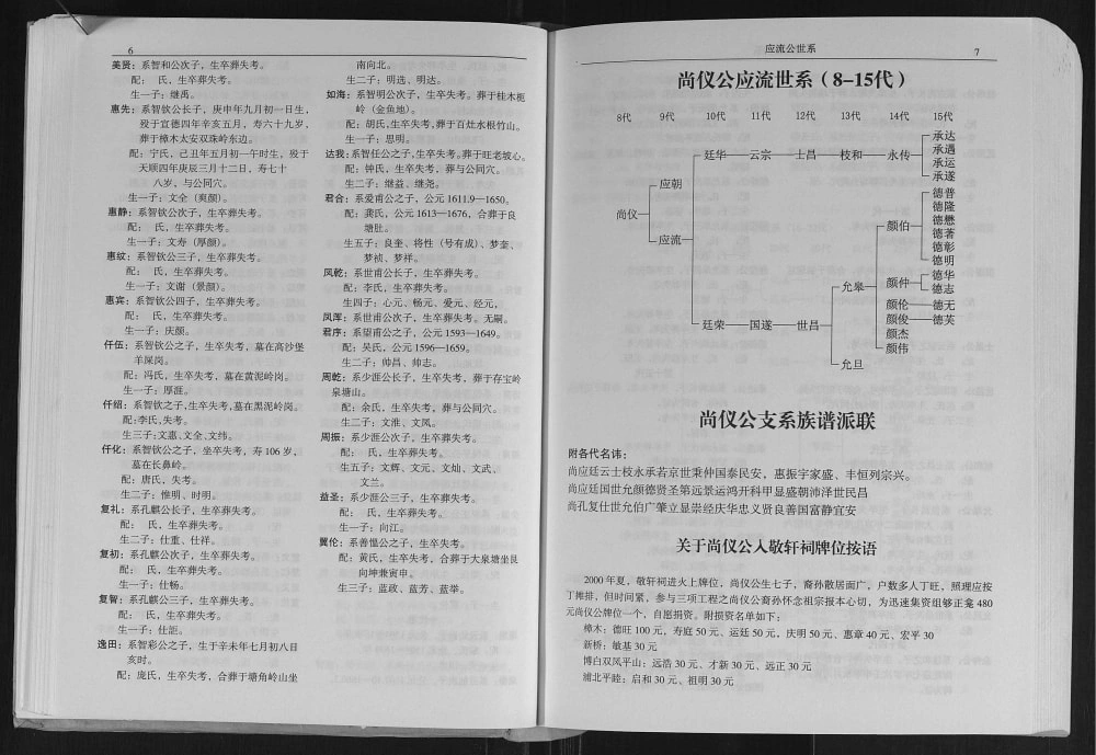 图片[8]-广西玉林周敬轩公族孟一支系周氏尚仪公谱电子版PDF下载-中华家谱网