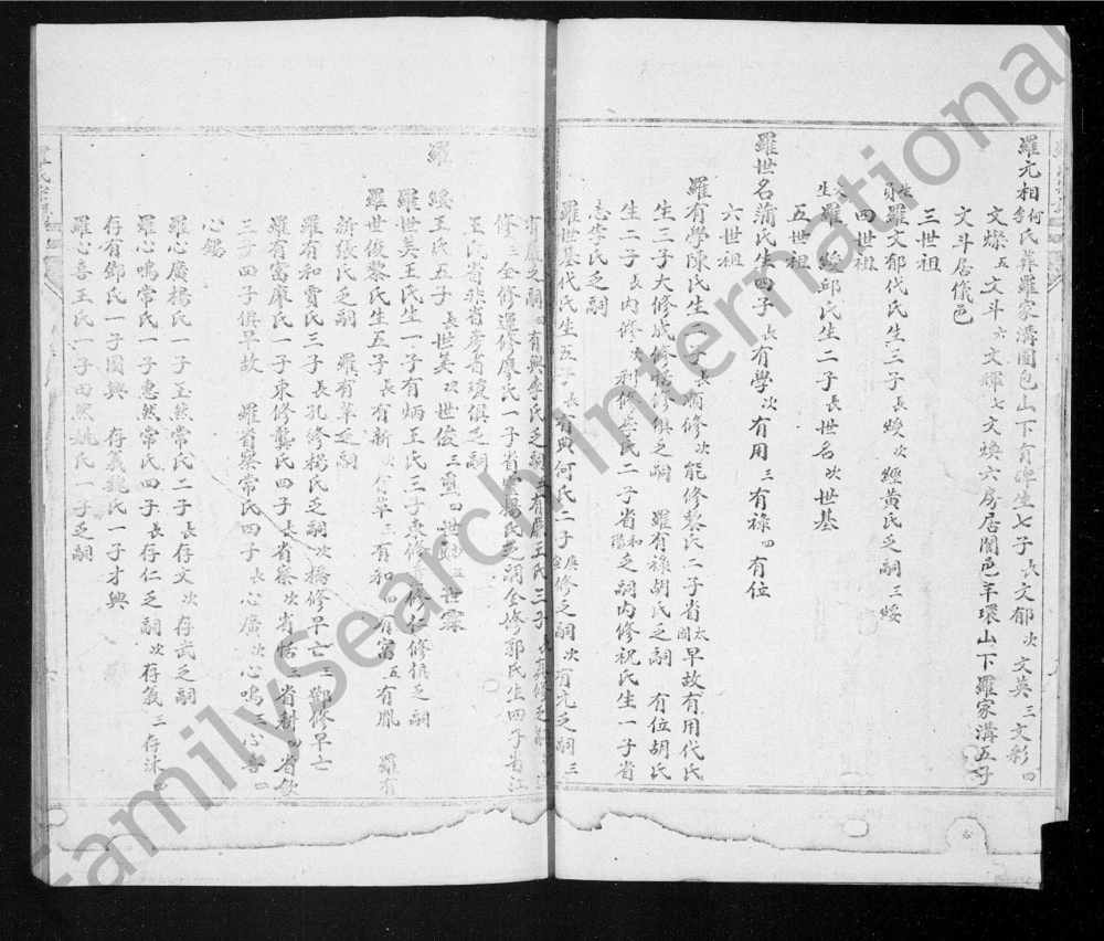 图片[5]-四川阆中罗氏族谱电子版PDF下载-中华家谱网