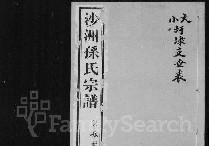 江苏江阴沙洲孙氏宗谱（积善堂）电子版PDF下载-中华家谱网