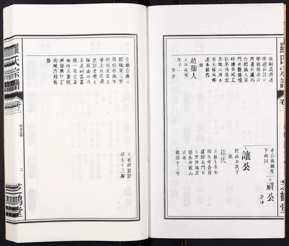 图片[7]-安徽合肥罗氏支谱娘娘庙（芝鹤堂）电子版PDF下载-中华家谱网