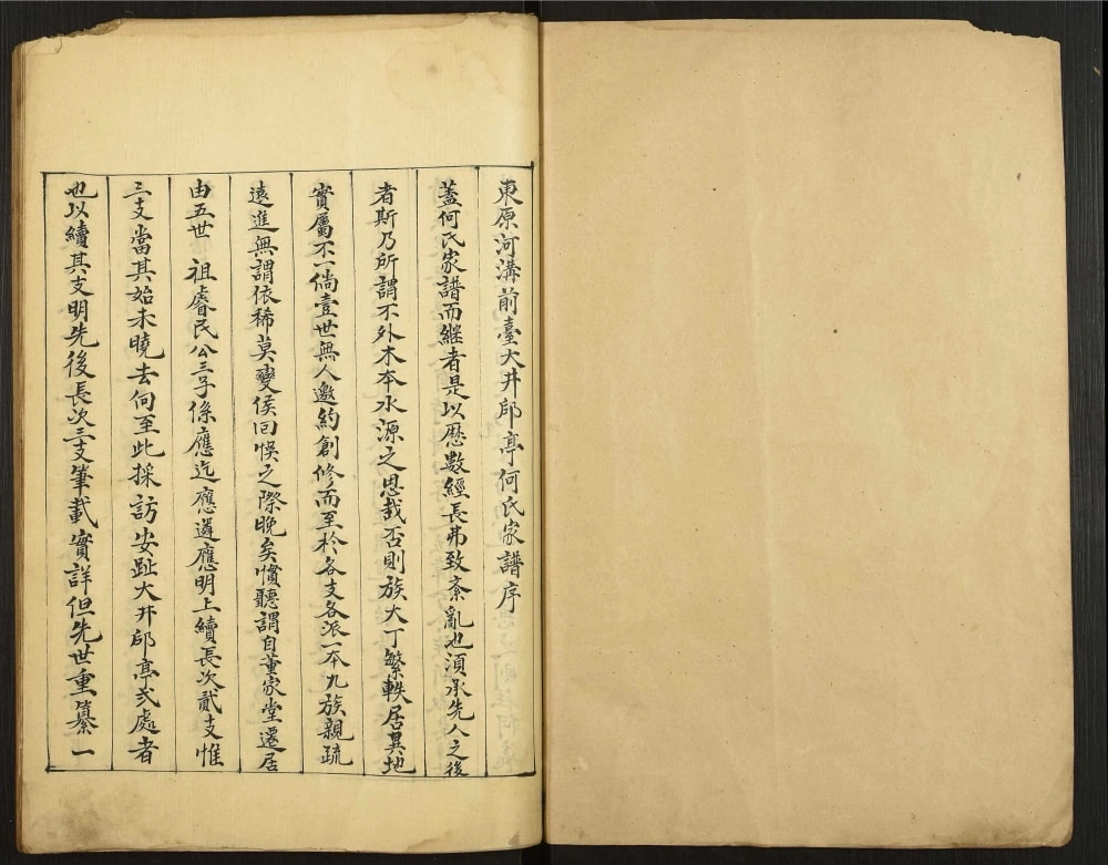 图片[2]-山东泰安东平县何氏家谱电子版PDF下载-中华家谱网