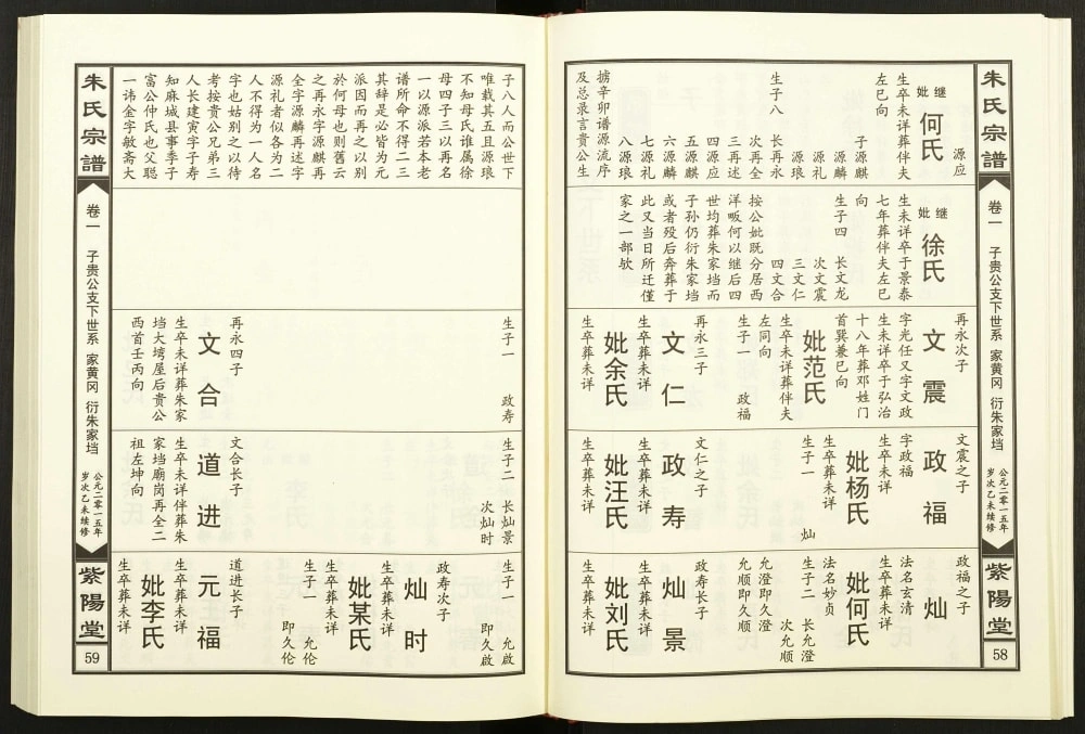 图片[5]-湖北黄冈朱氏宗谱（紫阳堂）电子版PDF下载-中华家谱网