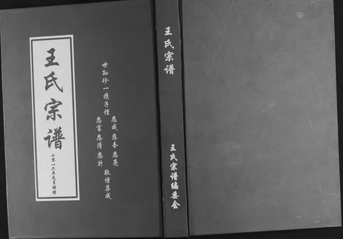 山东日照琅琊王氏宗谱电子版PDF下载-中华家谱网