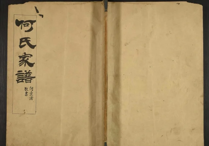 山东泰安东平县何氏家谱电子版PDF下载-中华家谱网