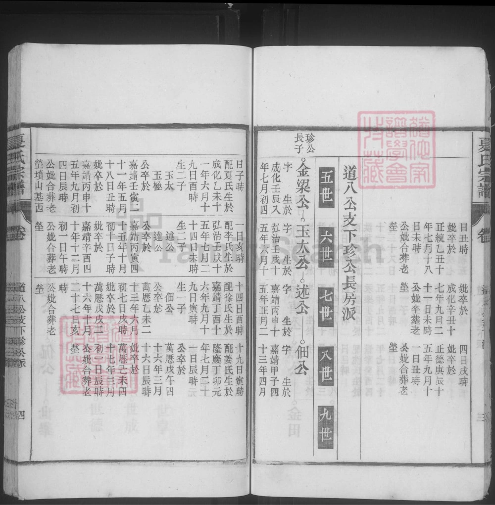 图片[8]-安徽合肥庐江县夏氏宗谱电子版PDF下载-中华家谱网