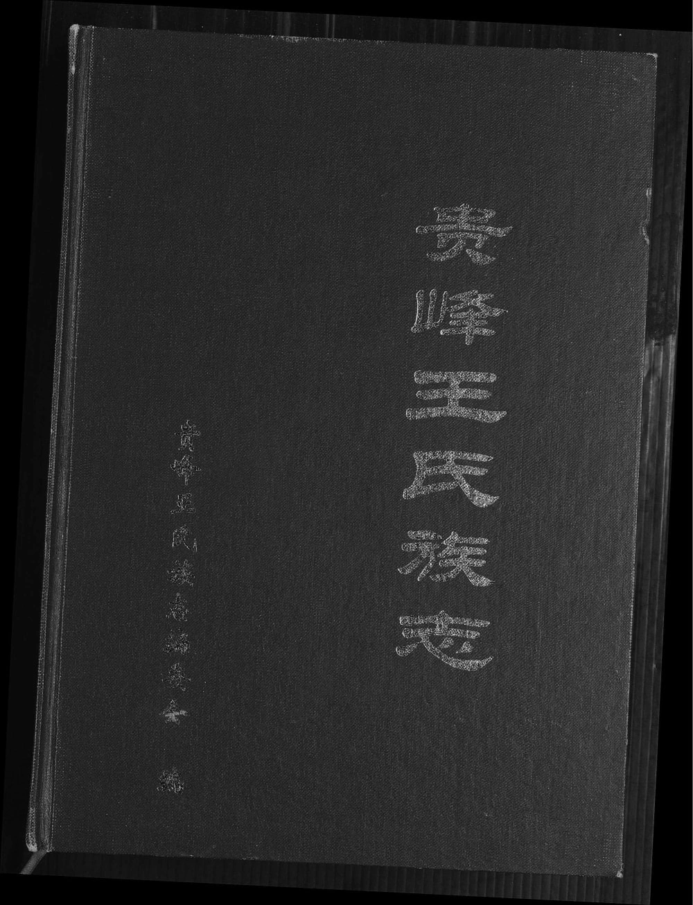 图片[1]-福建南安贵峰王氏族志电子版PDF下载-中华家谱网