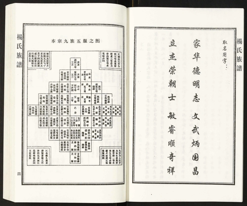 图片[6]-河北泊头扁渡里黄递铺杨桥村杨氏族谱电子版PDF下载-中华家谱网