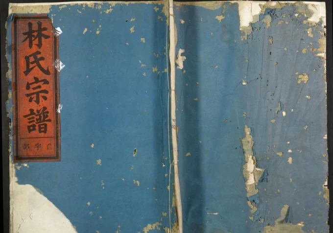 浙江金华婺城区林氏宗谱电子版PDF下载-中华家谱网