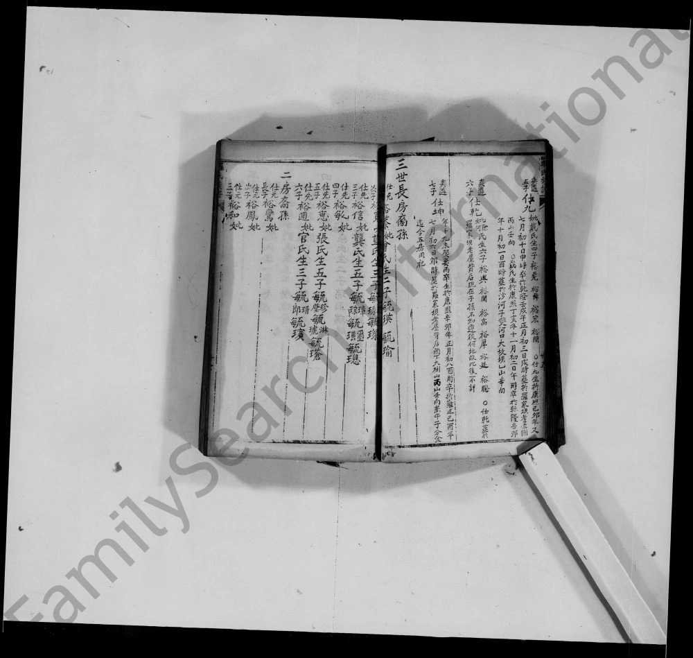 图片[3]-重庆荣昌罗氏族谱电子版PDF下载-中华家谱网