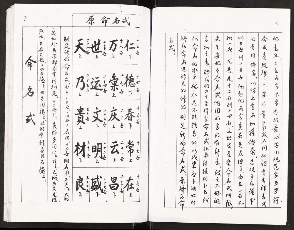 图片[7]-辽宁瓦房店王氏族谱书电子版PDF下载-中华家谱网