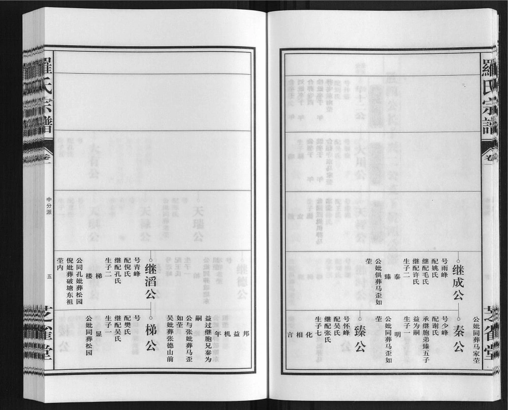 图片[8]-安徽合肥东乡罗氏宗谱（芝雀堂）电子版PDF下载-中华家谱网