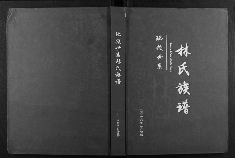 图片[1]-湖南永州东安县珌授世系林氏族谱电子版PDF下载-中华家谱网