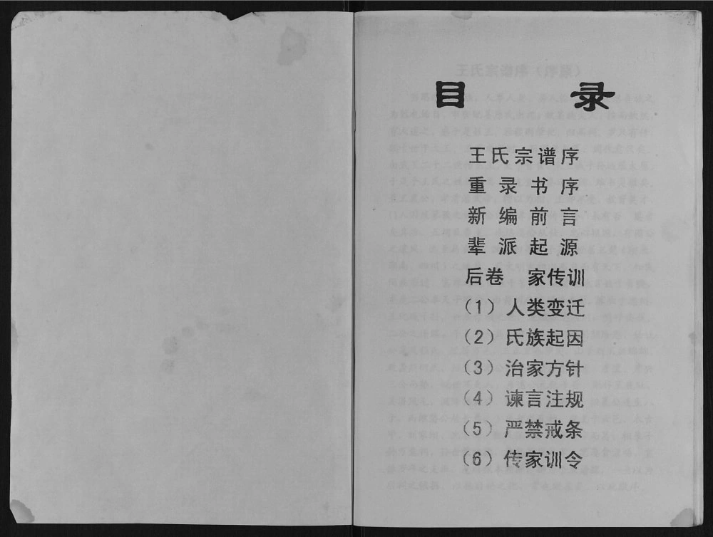 图片[2]-重庆万州王氏家谱电子版PDF下载-中华家谱网