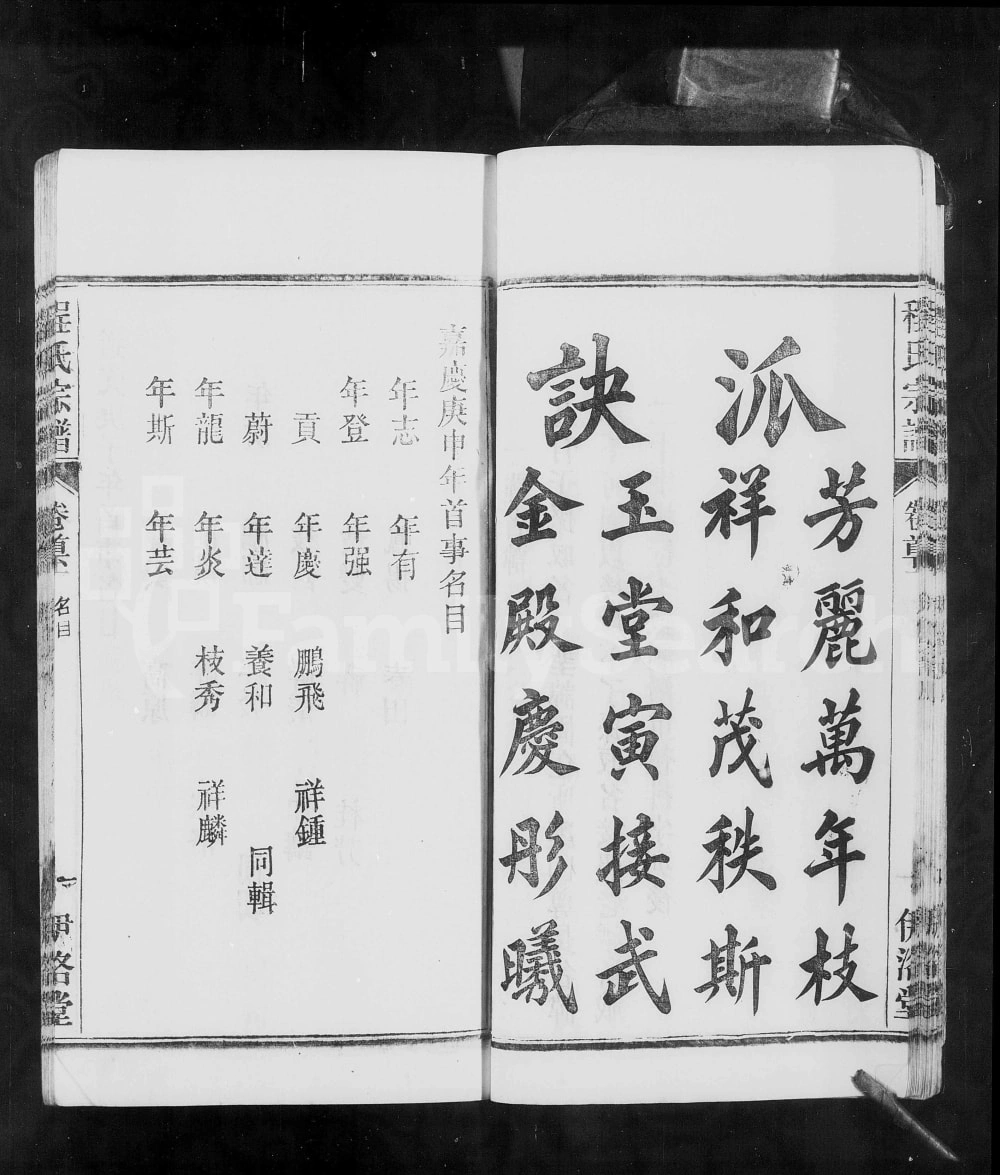 图片[2]-安徽桐城皖桐程氏宗谱（伊洛堂）电子版PDF下载-中华家谱网