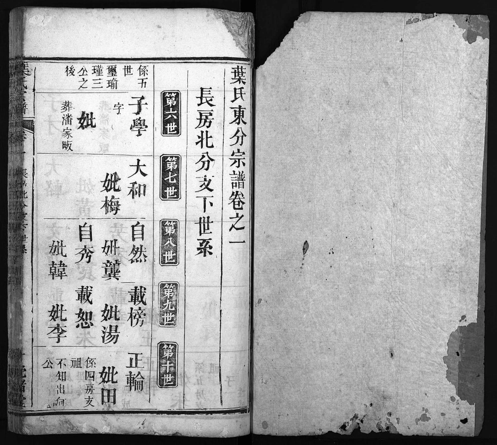 图片[8]-湖北麻城叶氏宗谱（沈诸堂）电子版PDF下载-中华家谱网