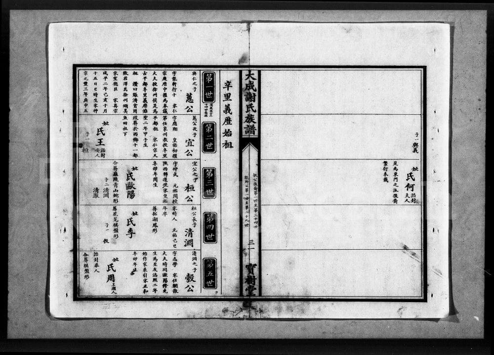 图片[5]-湖北应城大成谢氏族谱（宝树堂）电子版PDF下载-中华家谱网