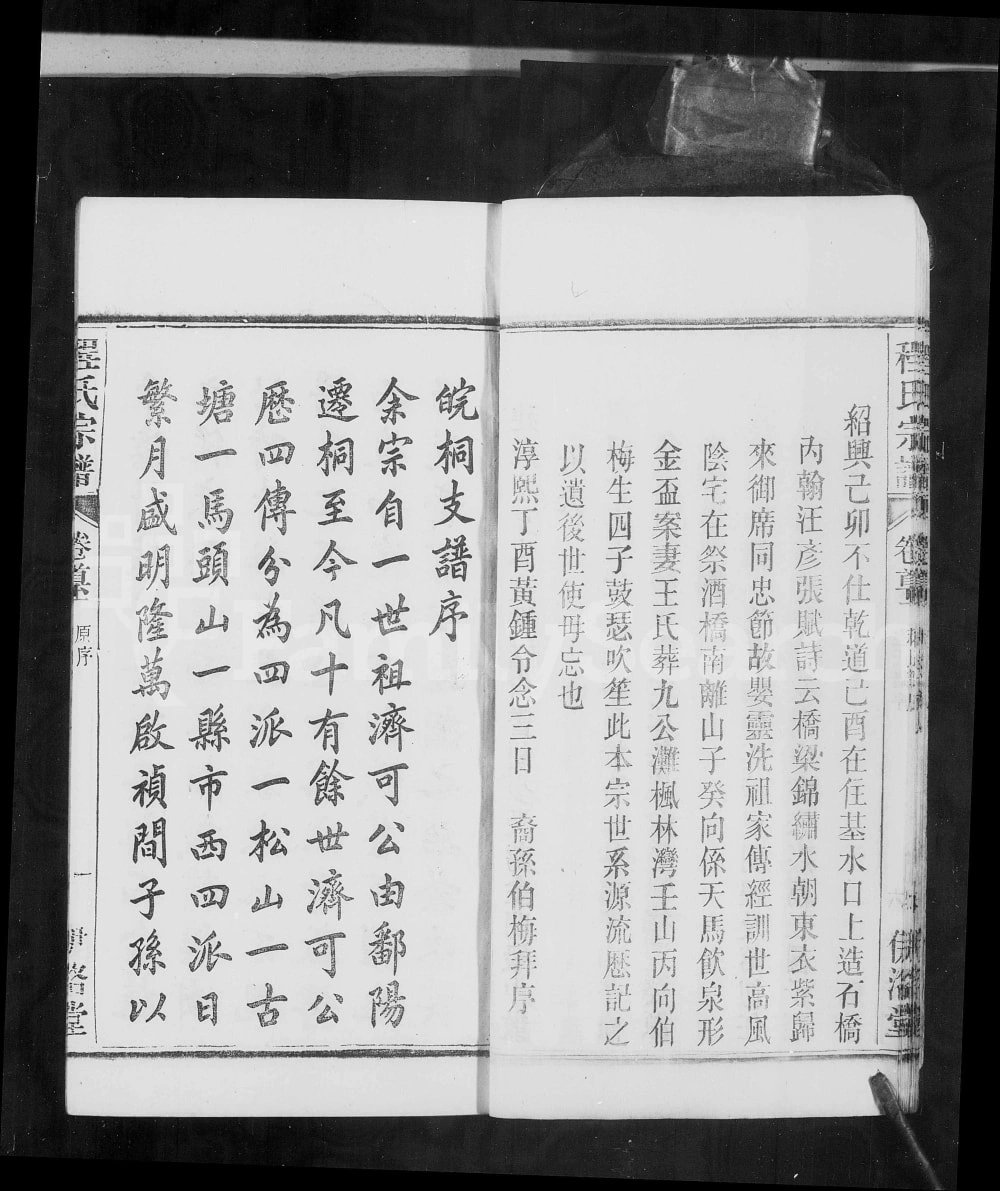 图片[1]-安徽桐城皖桐程氏宗谱（伊洛堂）电子版PDF下载-中华家谱网