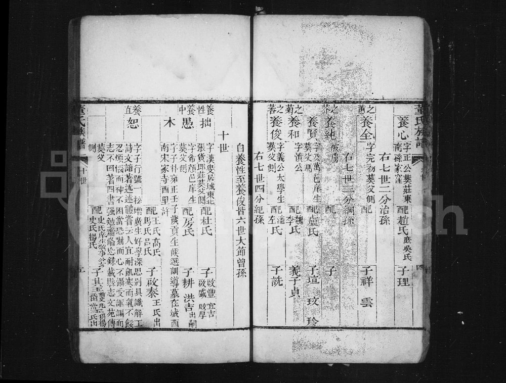 图片[8]-山东乐陵董氏家乘（正谊堂）电子版PDF下载-中华家谱网