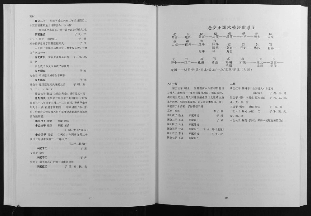 图片[8]-四川重庆天府吕氏电子版PDF下载-中华家谱网