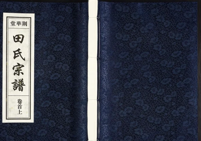 安徽合肥庐江县田氏宗谱（荆华堂）电子版PDF下载-中华家谱网