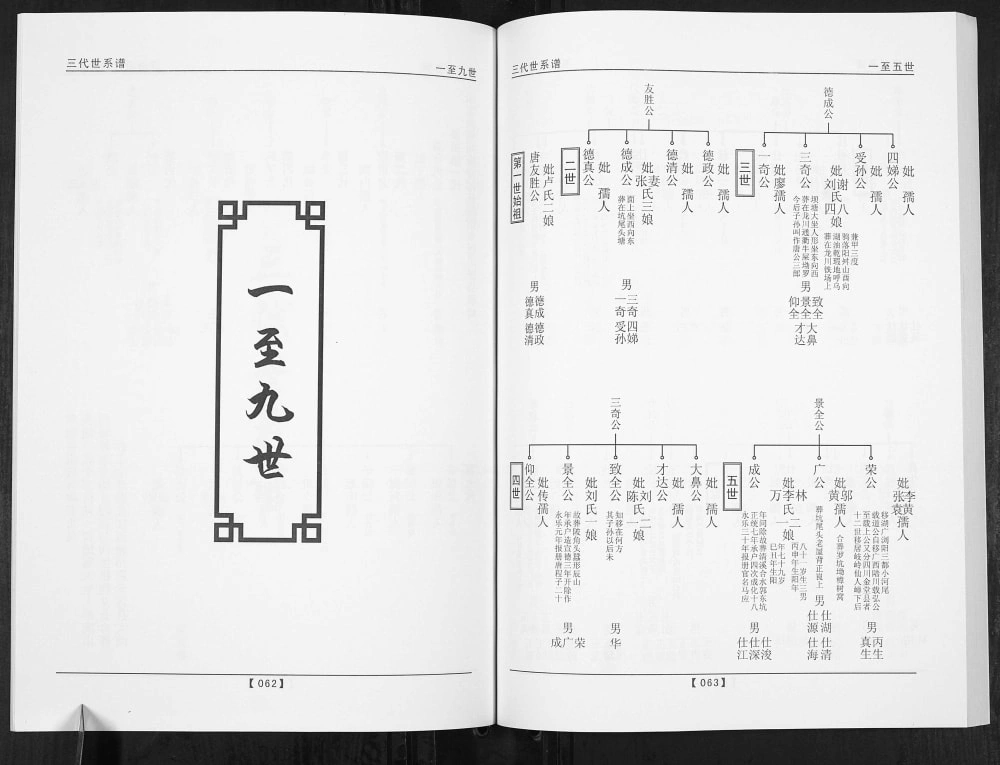 图片[5]-广东梅州五华县唐氏族谱电子版PDF下载-中华家谱网